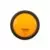 Amber Tail Light
