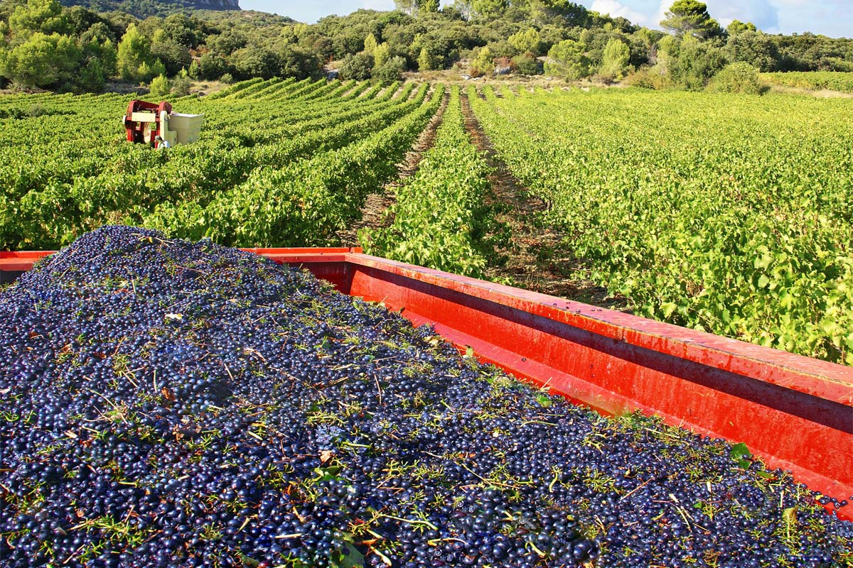 Signs of Hydraulic Cylinder Failure Burquip Trailer Components & Parts