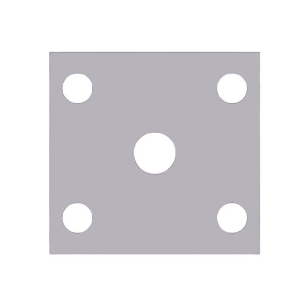 Image of Burquip's 55mm 5 hole plate.